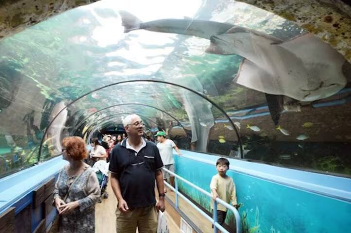 Penthouse 3BR w/d City-views, CBD Sydney gallery image 2