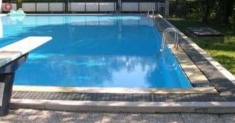 Venezia in green! gallery image 2