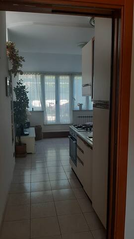 Venezia in green! gallery image 4