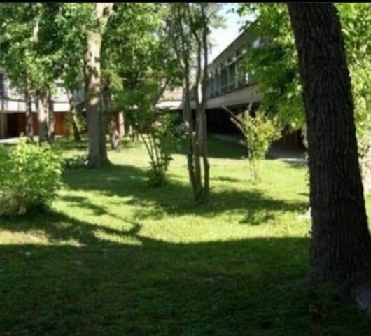 Venezia in green! gallery image 3