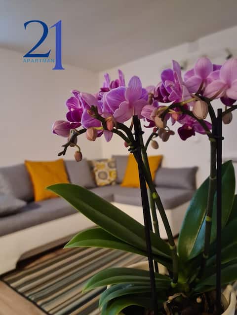 Top performing Airbnb: Apartment 21 in Novi Zagreb Zapad