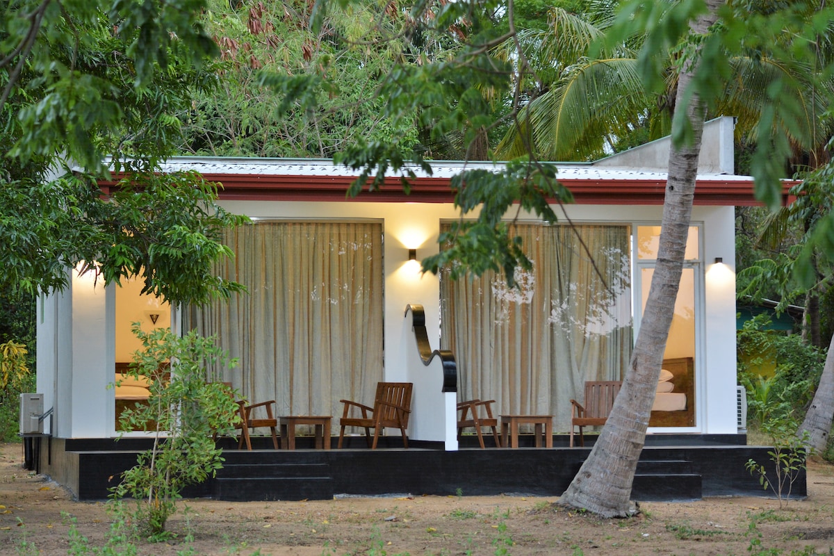 A minimalistic accommodation is surrounded by lush greenery, featuring a covered porch with wooden chairs. Large windows adorned with light-colored curtains invite natural light into the space, highlighting its serene setting amidst the trees.