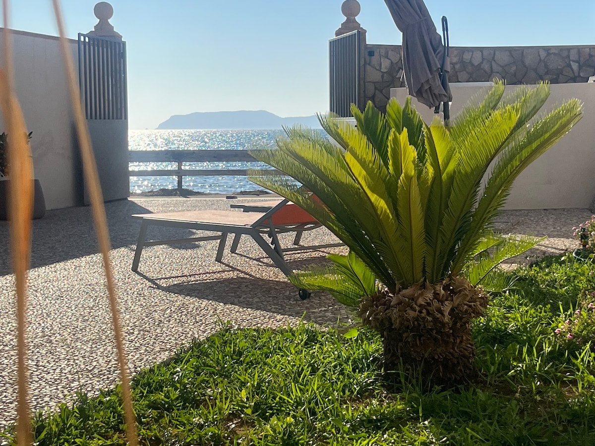 A serene outdoor area features a lush green plant in the foreground, with a stylish lounge chair positioned nearby. The sea glistens beyond a stone wall, with distant islands visible on the horizon under a clear blue sky.