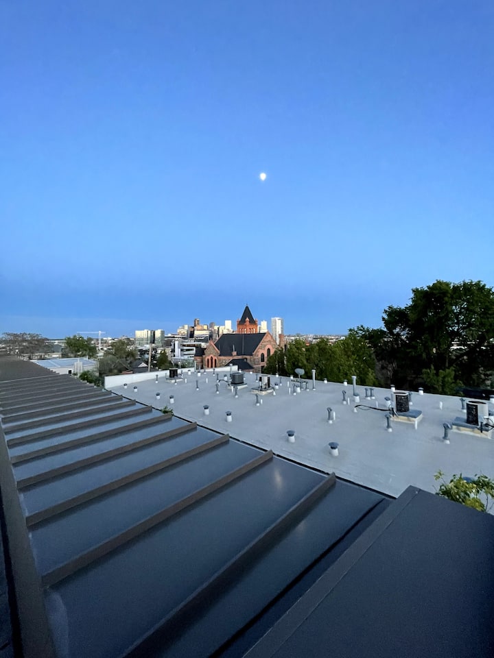Best Rooftop in Denver 2 Bed, 3 Bath Houses for Rent in Denver