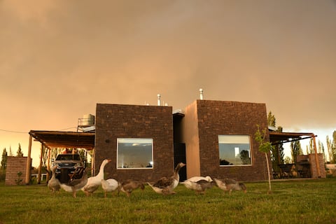 Top Airbnb: Winery and vineyard area | Breakfast included | BBQ en Capitán Montoya