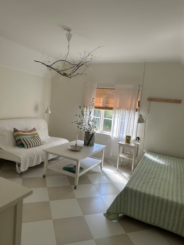 Sala de estar/dormitorio con sofá cama/cama doble y una cama individual, TV y cómoda con espacio para el almacenamiento.