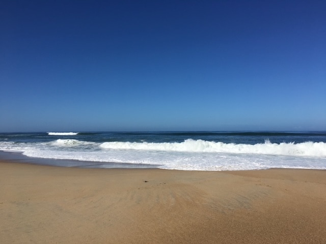 A tranquil beach scene is depicted, featuring soft golden sand meeting gentle ocean waves. The clear blue sky extends overhead, with subtle clouds near the horizon. The rhythmic motion of the water creates a serene atmosphere, inviting relaxation and contemplation.