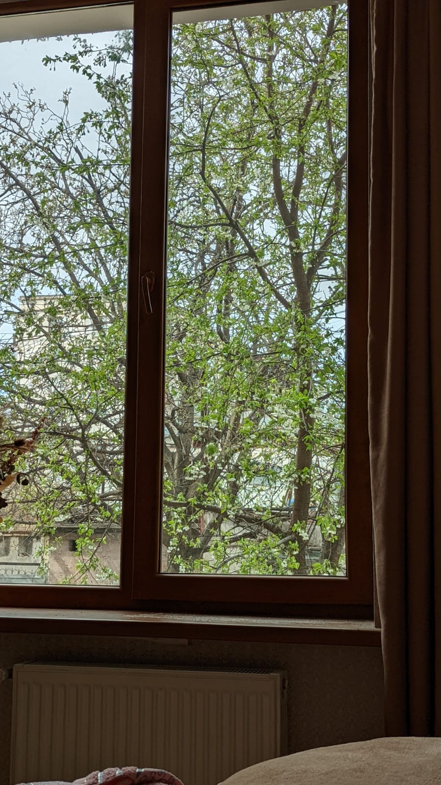 A large window provides a view of lush green foliage from a nearby tree. Soft natural light filters through the glass, illuminating the interior space and creating a calming atmosphere.