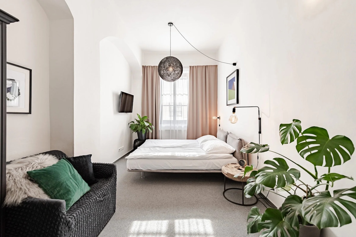 A spacious room showcases a comfortable bed dressed in crisp white linens. Light filters through sheer curtains, illuminating a cozy seating area with a dark wicker sofa and a green pillow. A decorative pendant light hangs above and a variety of indoor plants add natural touches.