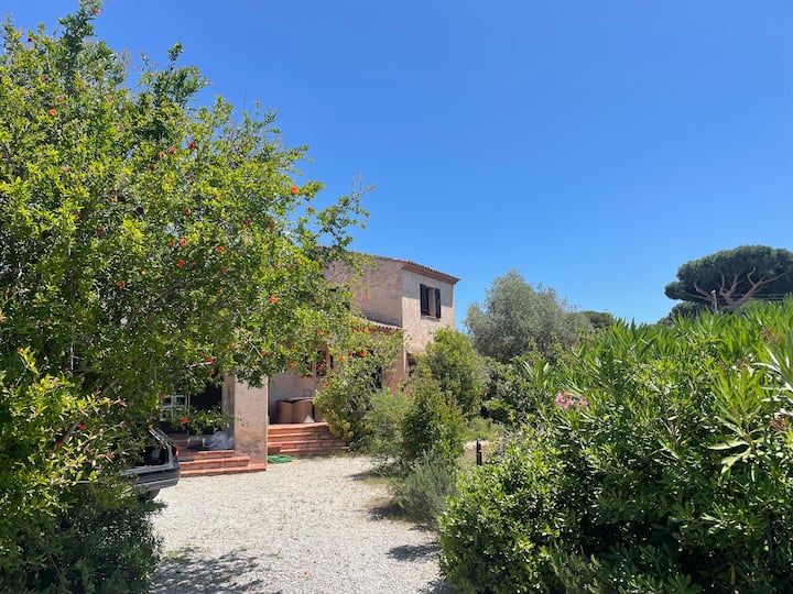 Maison De Vacances Au Bord De Mer