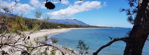 Beach apartment within walking distance (150 m)