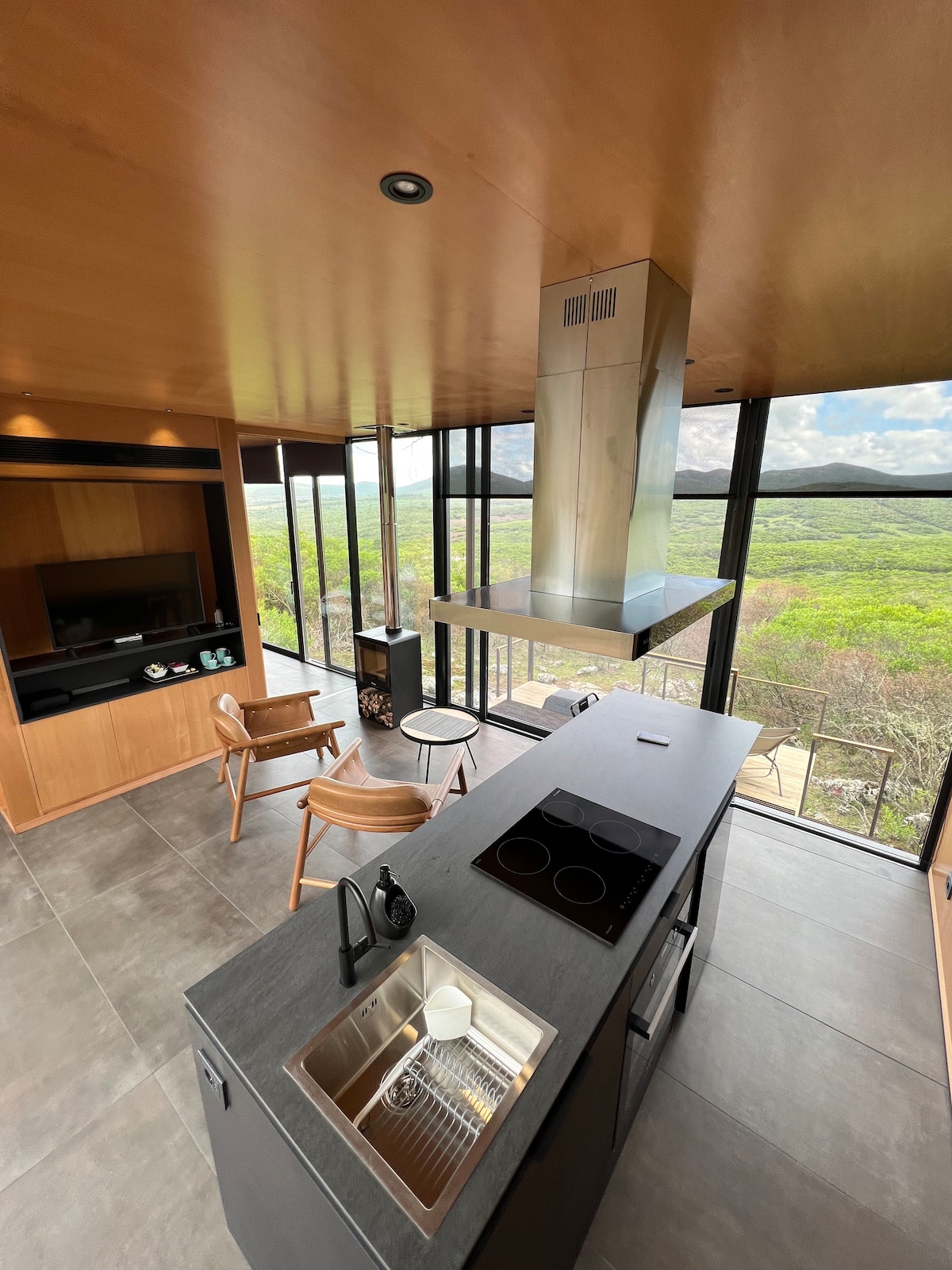 A modern kitchen area is showcased with a sleek countertop and integrated cooking appliances. Floor-to-ceiling windows provide expansive views of the surrounding landscape. Wooden accents and open shelving enhance the contemporary design, while natural light fills the space from multiple angles.