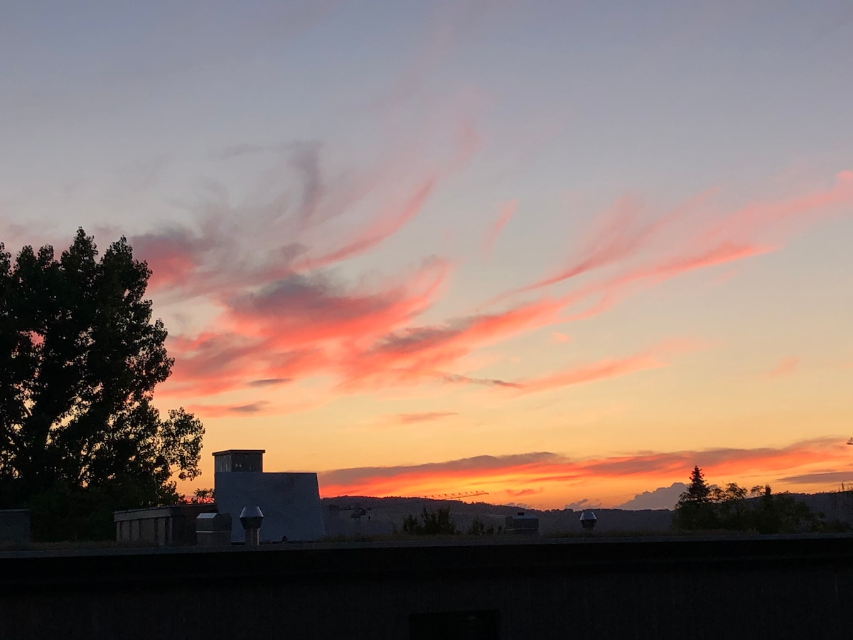 A vibrant sunset is captured with streaks of pink and orange hues painting the sky. Silhouettes of trees and rooftops create a serene skyline, embodying the evening's tranquility.