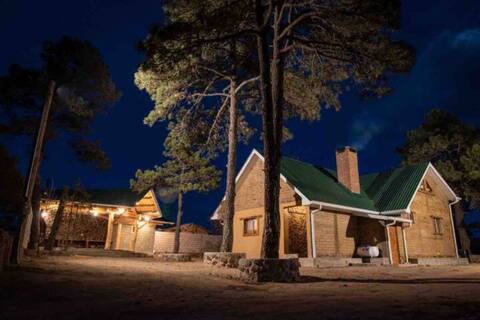 Mountain View "casas quemadas"
