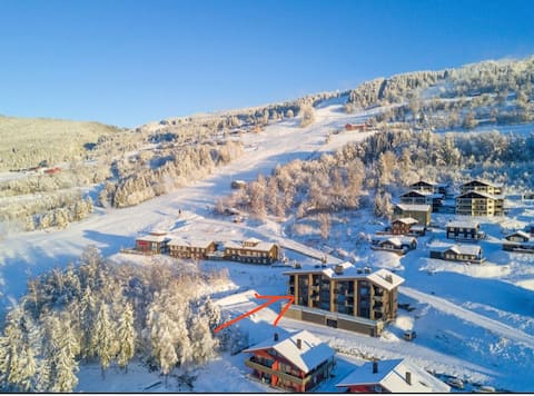 Modern apartment with ski-in/out, park with electric car charger