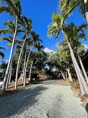 PRdise Rentals & Charter managed Airbnb listing 3