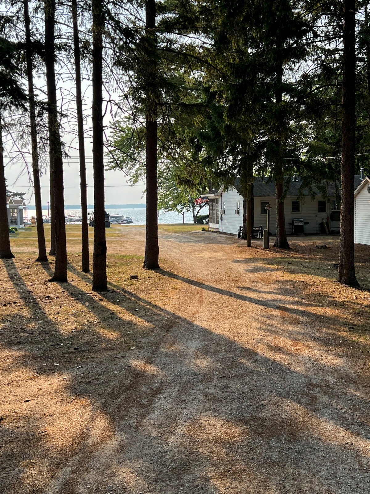 A gravel path meanders through tall evergreen trees, leading towards a clear view of the lake ahead. Sunlight filters through the branches, casting pleasant shadows on the ground. Cottages are visible on the right side, enhancing the inviting outdoor atmosphere.