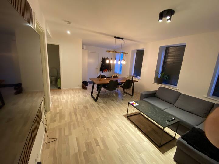 Central and modern apartment Apartments for Rent in Kolding, Denmark