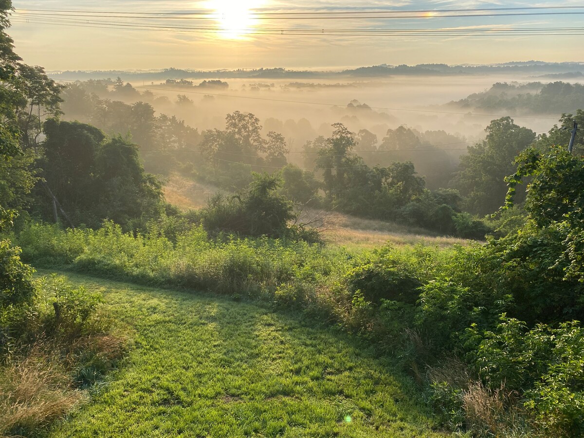 A serene landscape is captured at sunrise, showcasing rolling hills blanketed in mist. Lush greenery frames the view, with trees and foliage creating a tranquil atmosphere. The soft light highlights the natural beauty of the countryside.