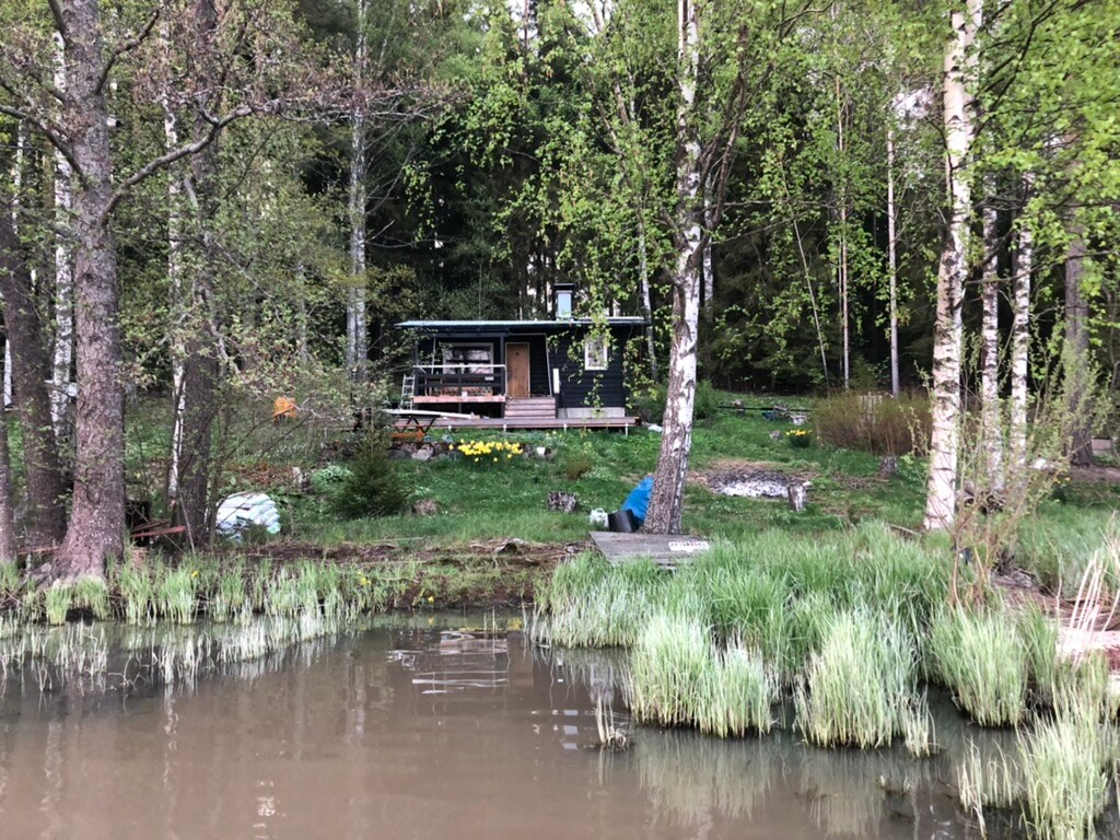 A serene scene showcases a cottage set among lush greenery by a calm body of water. The cottage features a deck with a wooden railing, surrounded by various plants and flowers, enhancing the natural setting.