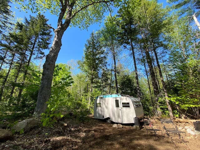 A vintage camper is positioned among tall trees and lush greenery, surrounded by natural foliage. A seating area with metal chairs is visible on the forest floor, providing a tranquil outdoor space. Clear blue skies peep through the tree canopy above.