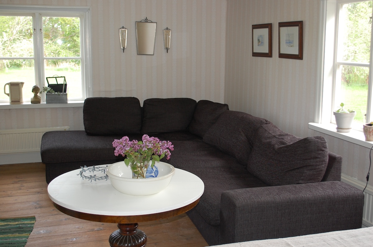 A spacious living area is depicted, featuring a dark, comfortable sectional sofa positioned around a round table. Natural light enters through two windows, illuminating the light-colored striped walls. A decorative arrangement of flowers sits on the table, enhancing the tranquil ambiance.