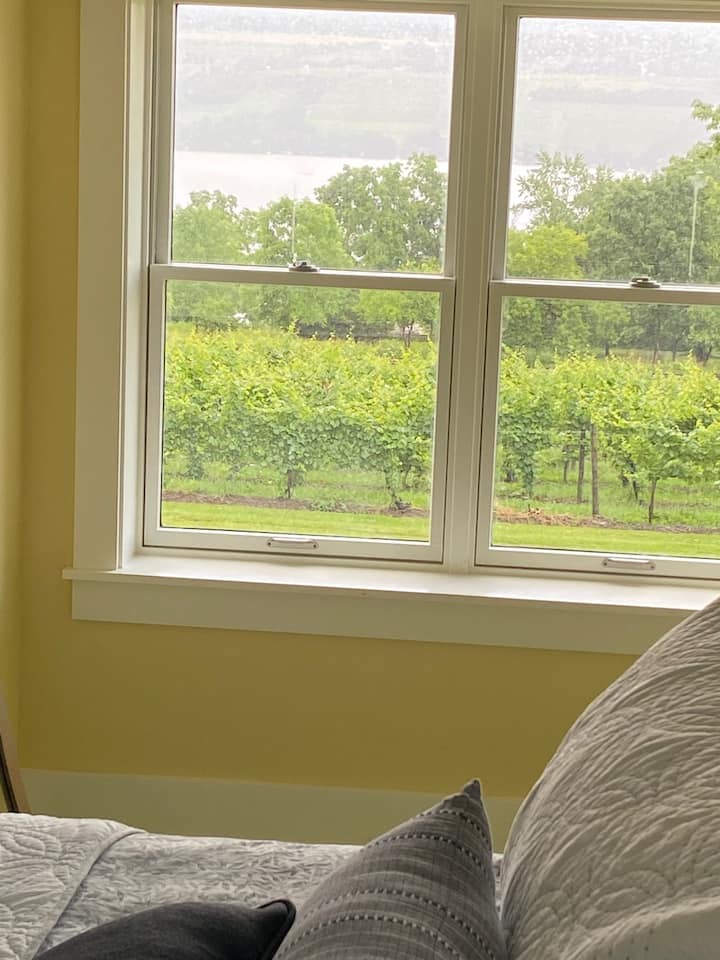 Vineyard and lake view!