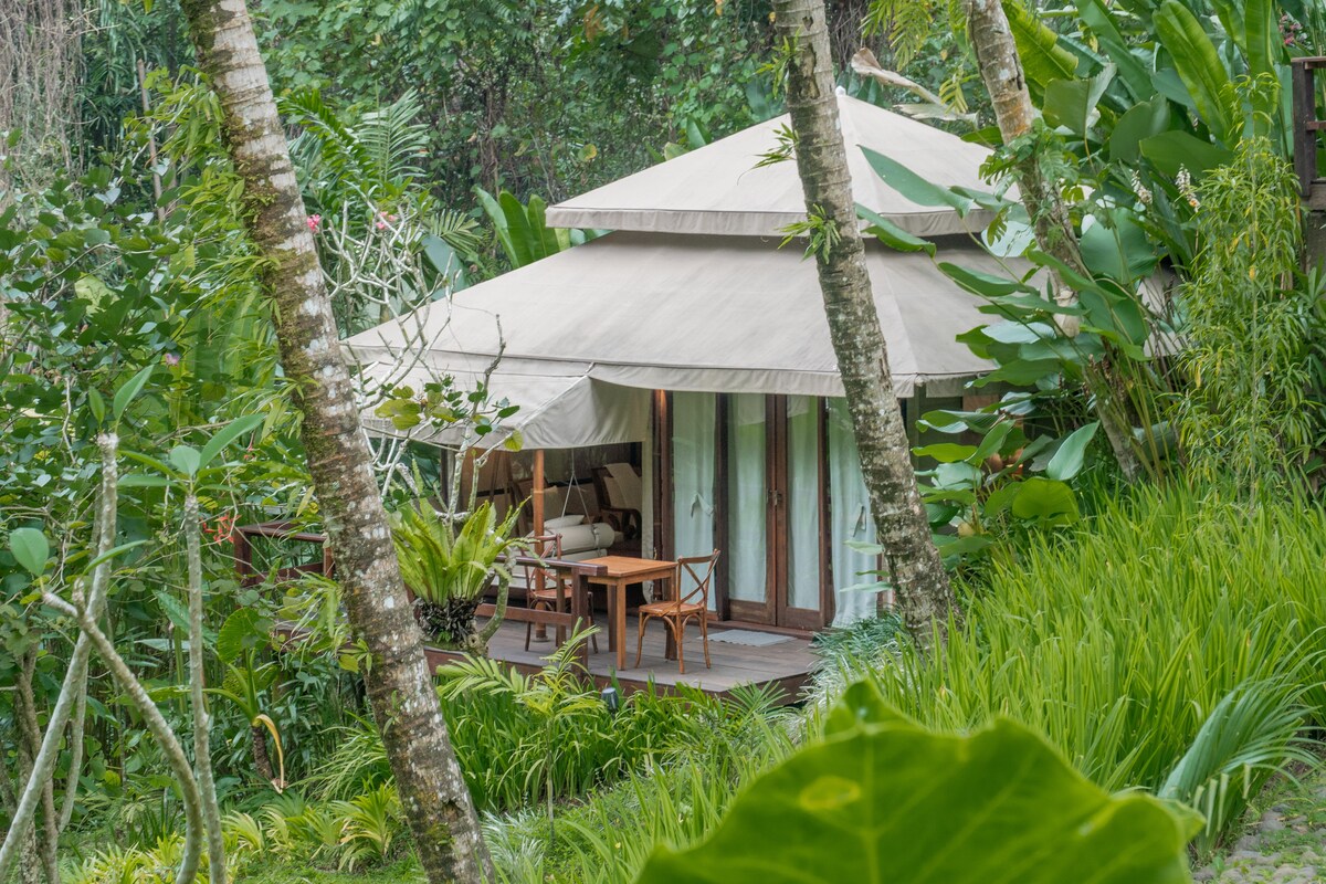A charming tent is nestled among lush greenery, showcasing a wooden deck with a small table and chairs. Surrounded by various tropical plants, large leaves provide a natural frame, creating a serene and secluded atmosphere.