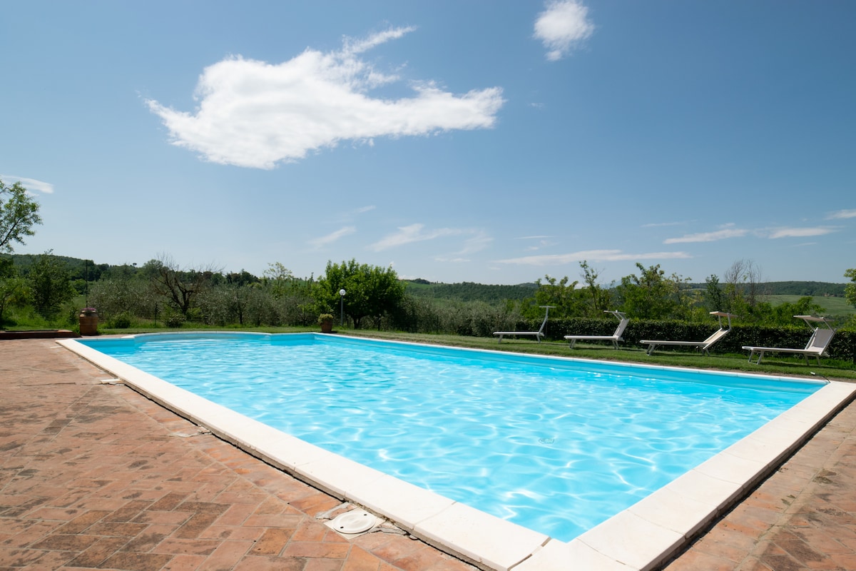 A shared pool features clear blue water under a bright sky, surrounded by a spacious patio area. Sun loungers are placed along one side, offering a relaxing space for guests to enjoy the picturesque landscape of the Tuscan countryside.