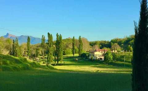 Olive farm in Tuscany with pool