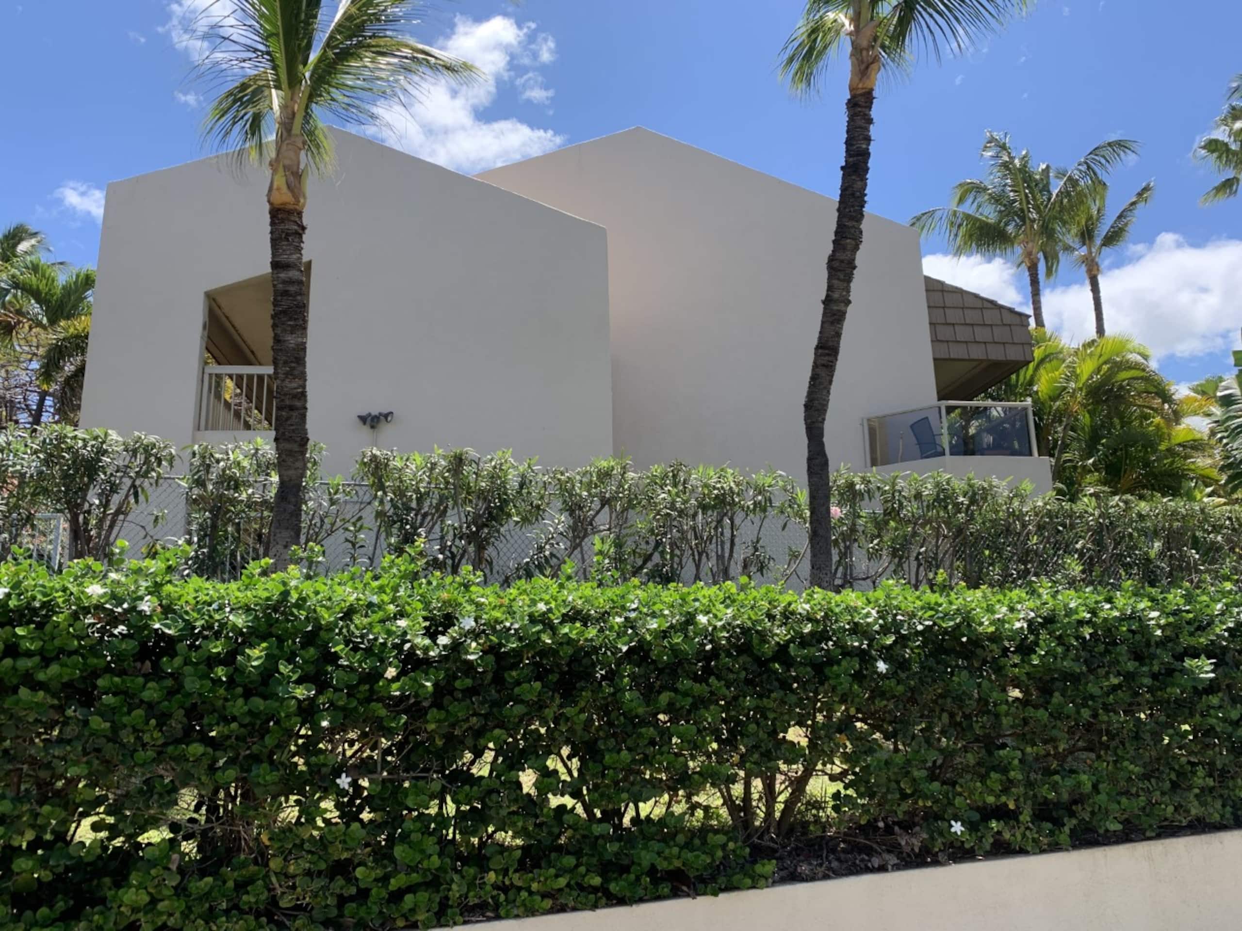 Maui Banyan Closest to the Beach! A201 Kihei - Image 6