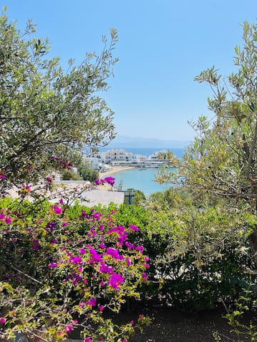 Exceptionnelle Villa sur plage Piso Livadi Paros