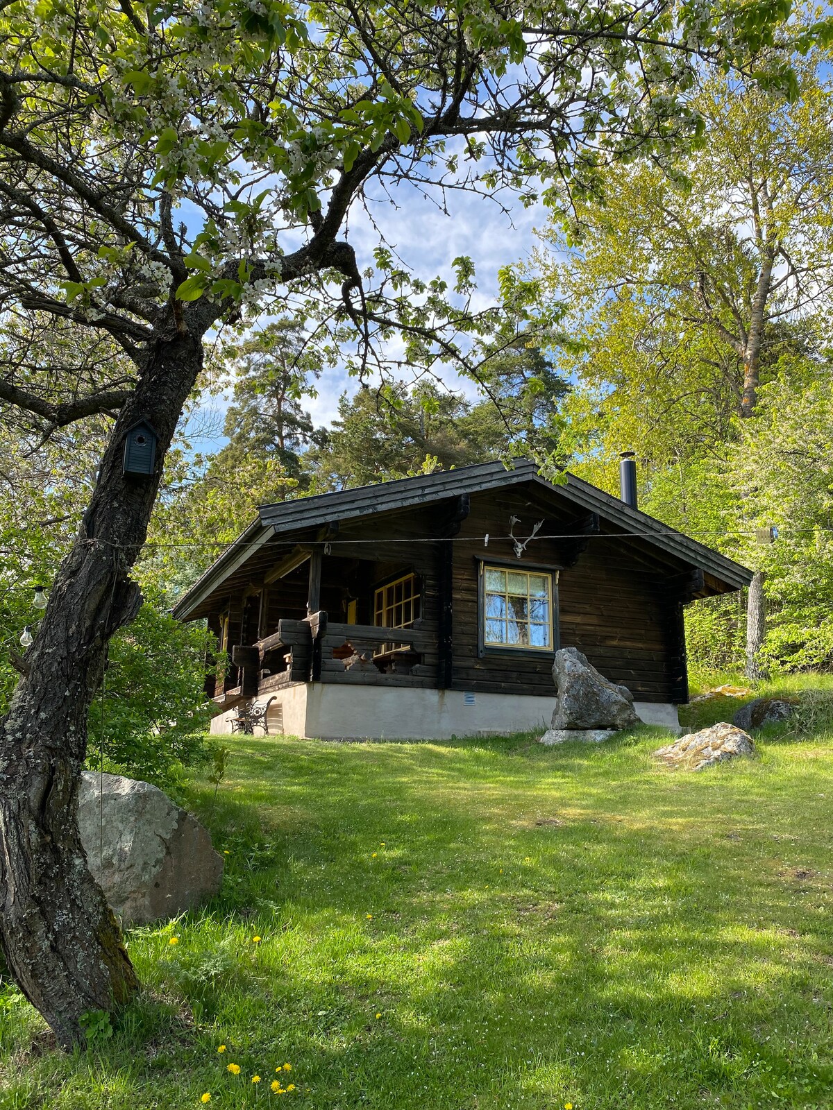 A charming wooden cabin is nestled among lush greenery, showcasing a welcoming porch with steps leading to the entrance. Surrounding rocks and trees add natural beauty to the landscape, while a clear blue sky peeks through the leaves.