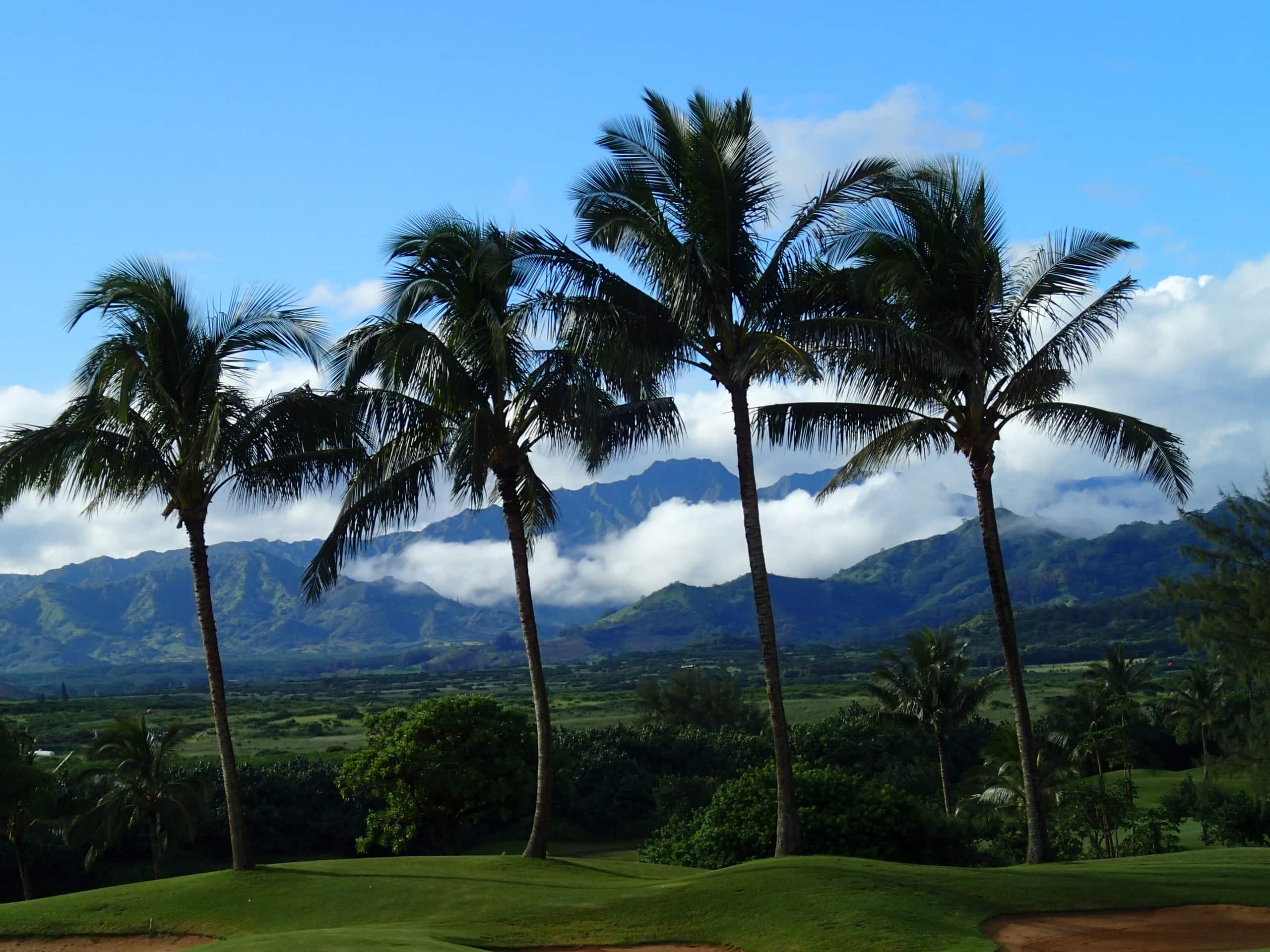 Steps to Poipu Beach, 3BR/3BA with AC and Views - Photo 21