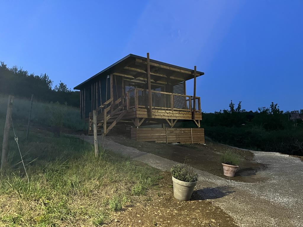 A wooden chalet elevated on stilts is highlighted against the evening sky. A spacious porch with railings extends from the front, and simple potted plants are set on the gravel path leading to the entrance. The surrounding space features gentle landscaping with grass and low foliage.