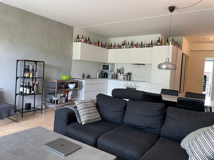 Moderne Lejlighed Med 3 Værelser I København - Copenhagen