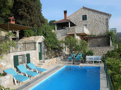 Popular Airbnb listing: Apartments Kate Postira 5+1 in Škrip