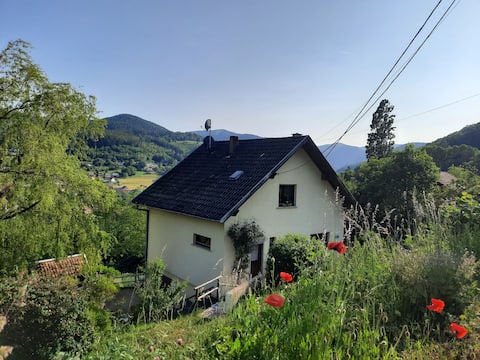 "Gîte les Biquettes", magnificent view with animals