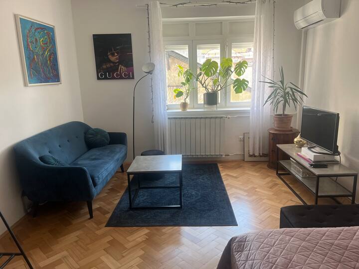 Cozy apartment in Ljubljana Apartments for Rent in Ljubljana