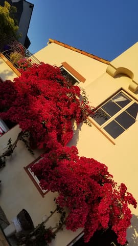 Beautiful Upper Rockridge Mediterranean Villa gallery image 4