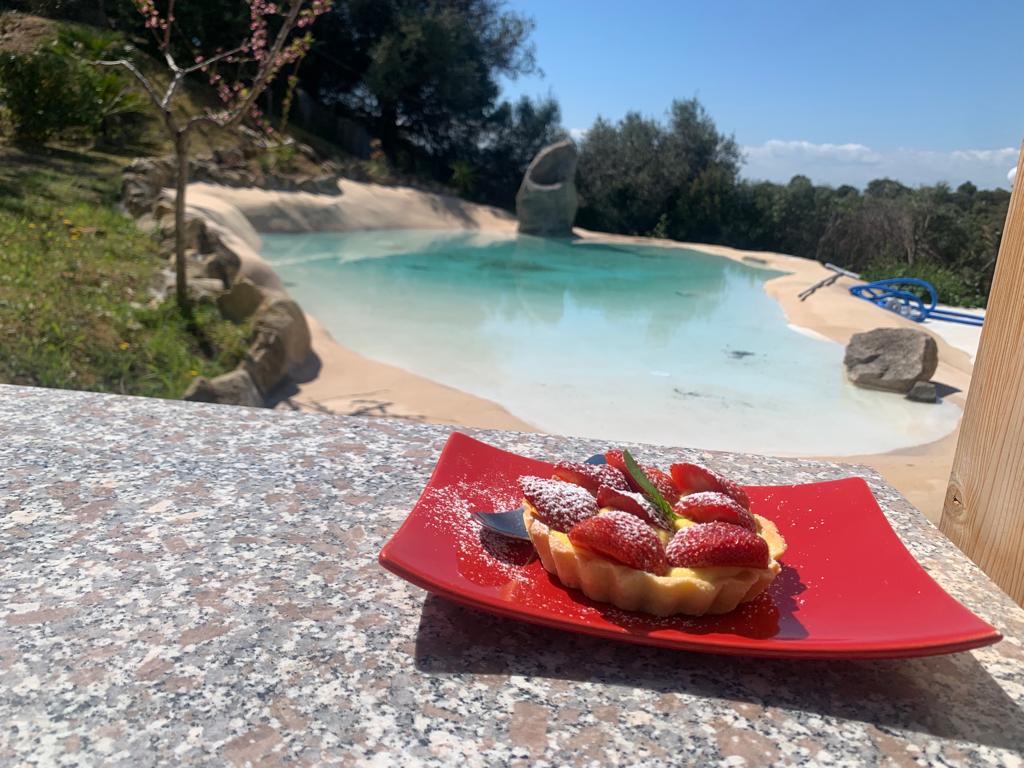 A plate of fresh strawberry tart is presented on a stone surface, with powdered sugar sprinkled on top. In the background, a serene californian pool is framed by natural greenery, inviting relaxation under a clear sky.