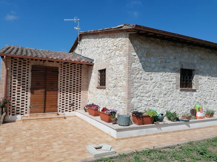 A house in the wheat: Casa Luciola