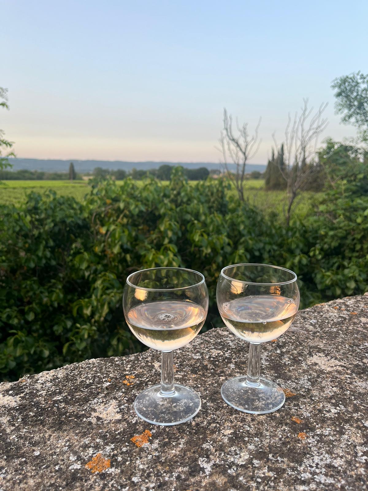 Two glasses of white wine are positioned on a rustic stone ledge, with the expansive vineyard visible in the background. The soft colors of the evening sky blend seamlessly with the greenery, creating a serene backdrop for the scene.