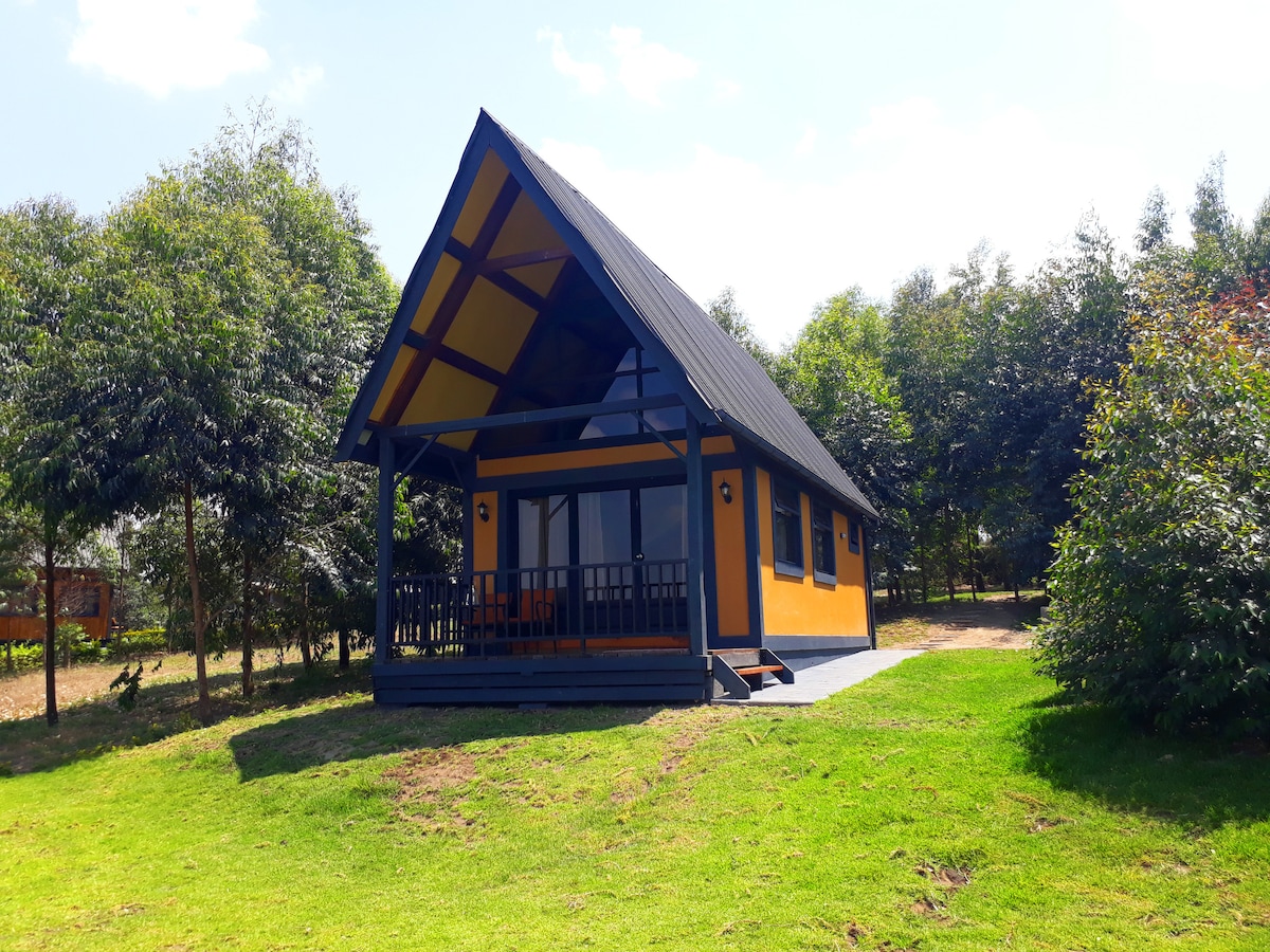 A charming cabin appears nestled among greenery, featuring a sloped roof and bright yellow exterior. A covered porch with wooden railing is visible, complemented by seating arrangements. Surrounding trees and open space create a serene outdoor setting.