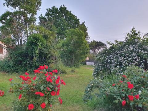 outdoor space