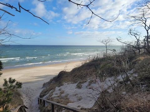 Beach, sea and sun