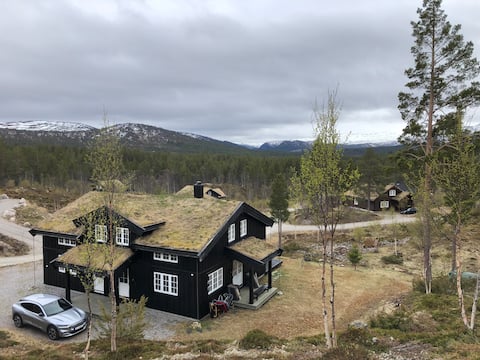 Stor moderne hytte