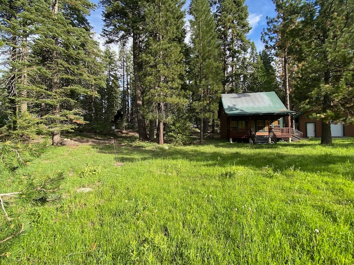 Pinecrest Lake Vacation Rentals & Homes California, United States