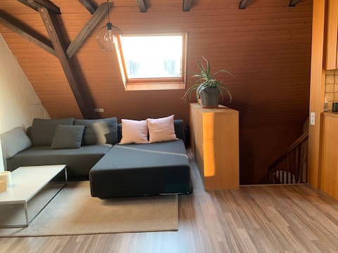 Attic apartment with charm