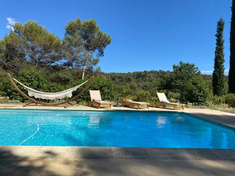 Provence home with Tree house